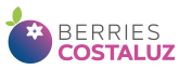 Logo Berries Costaluz