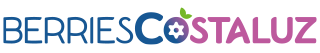 Logo Berries Costaluz